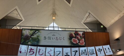 キラタキ